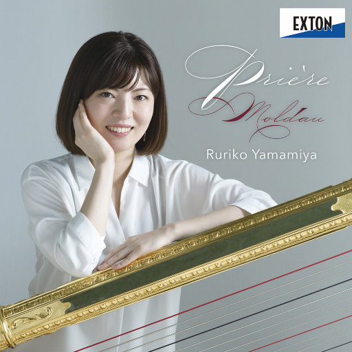 弟弟摸哥哥的小丁丁
